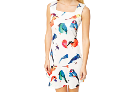 Bird Print Dress