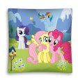 DETEXPOL Povlak na polštářek My Little Pony louka micro Polyester, 40/40 cm