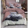 3D Povlečení Grey cat photo micro 140/200, 70/90 +40/40