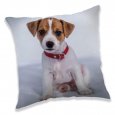 JERRY FABRICS Polštářek Pejsek 03 Polyester, 40/40 cm