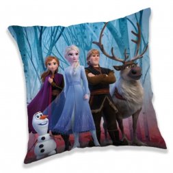 Polštářek Ledové Království 2 in forest 40/40