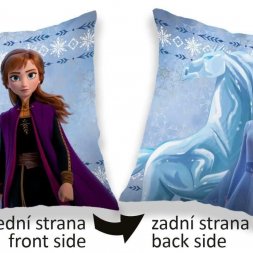 Povlak na polštářek Ledové Království 2 sides micro 40/40