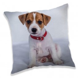JERRY FABRICS Polštářek Pejsek 03 Polyester, 40/40 cm