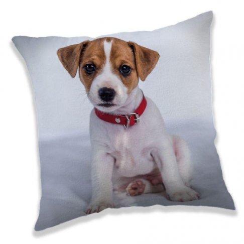 JERRY FABRICS Polštářek Pejsek 03 Polyester, 40/40 cm 