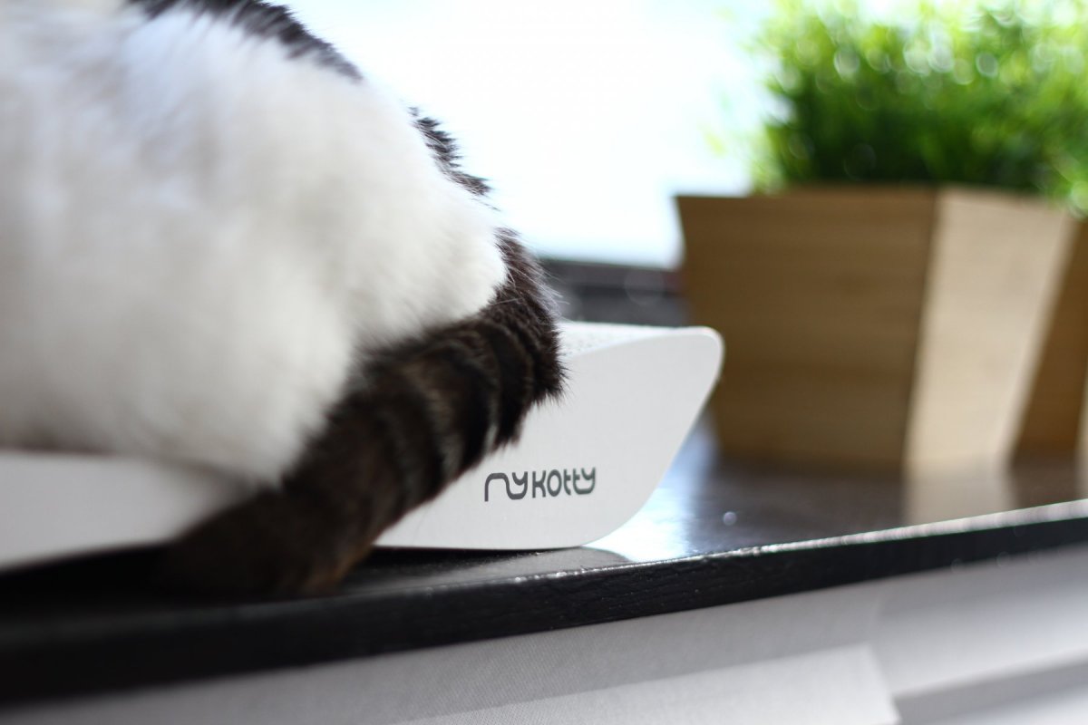 Moderní kartonové škrabadlo pro kočky