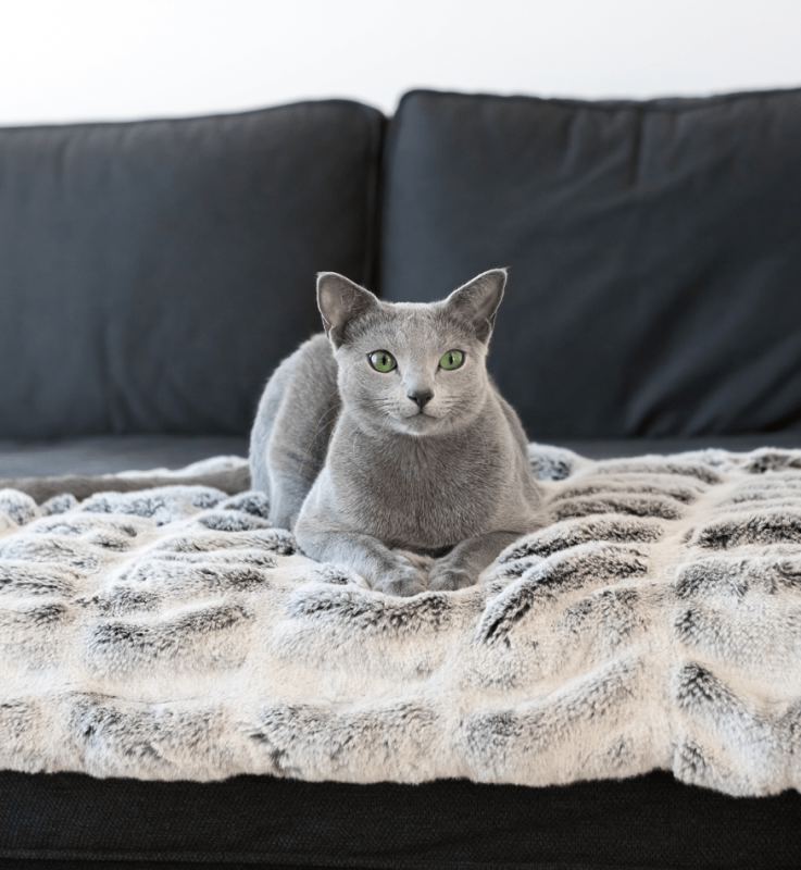 Kočičí pelíšek deka
