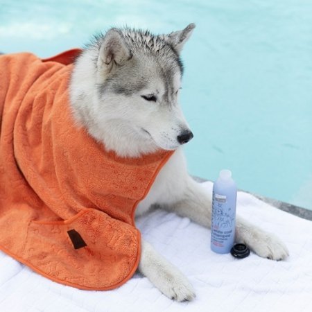 Šampon pro psa - bez parabenů, světlá srst