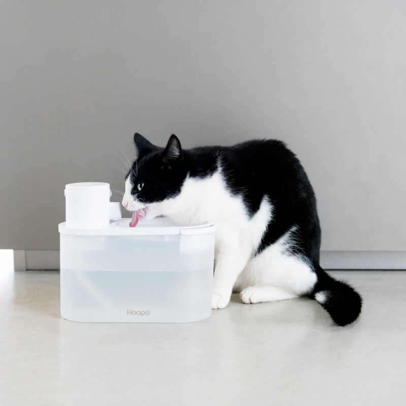 AGUA SMART automatická chytrá vodní fontána pro kočky