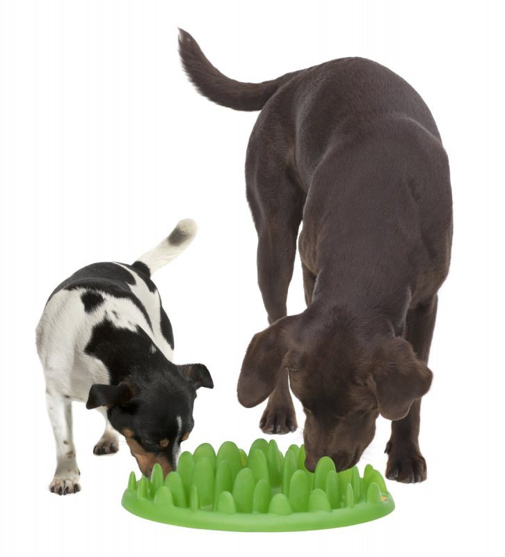Zpomalovací interaktivní miska pro psy proti hltání a plynnatosti