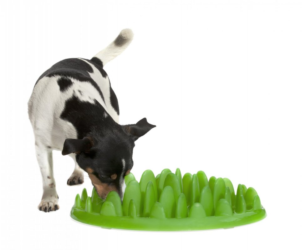 Zpomalovací interaktivní miska pro psy proti hltání a plynnatosti