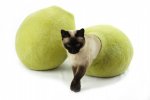 Cocoon ručně plstěný vlněný pelíšek pro kočky - zelená