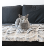Kočičí pelíšek deka