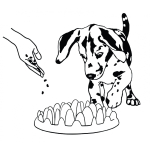 Zpomalovací interaktivní miska pro malé psy a štěňata