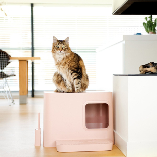 Dome Plus toaleta pro větší kočky růžová