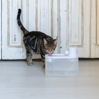 AGUA SMART chytrá vodní fontána pro kočky