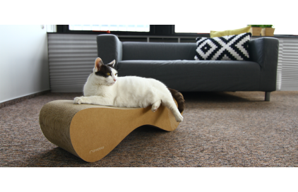 Škrábání nábytku u koček: jak ho řešit a proč vyzkoušet kartonové škrabadlo
