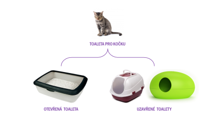 Jak na zápach kočičí toalety: jak vybrat správnou toaletu pro kočku