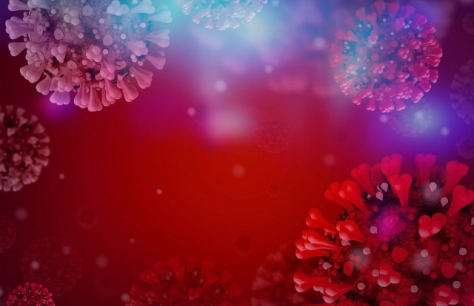 Buněčná imunita – co to je, jaké existují typy a proč se o ni zajímat?