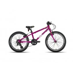 FROG 52 - Pink