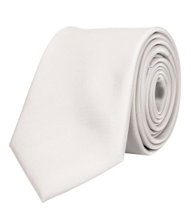 Champagne beige necktie