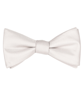 Champagne beige self-tie bow tie