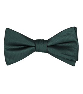 Zelený motýlek Emerald
