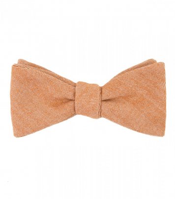 Oranžový motýlik Coral