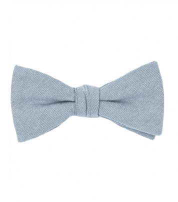 Modrý motýlik Dusty Blue