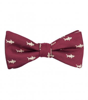 Red shark self-tie bow tie