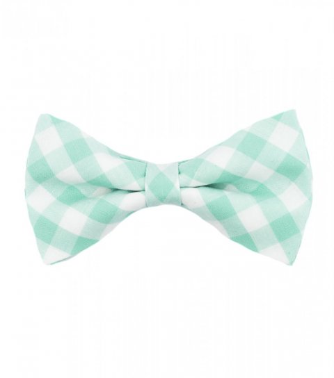 Mint plaid pre-tied bow tie 