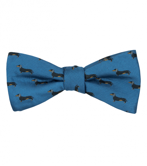Blue dachshund bow tie 