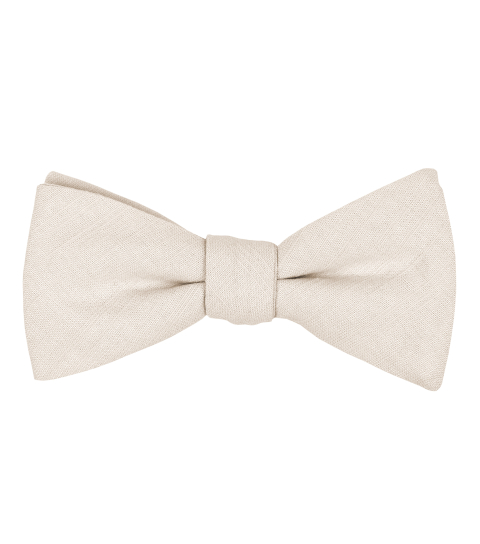 Ivory bow tie 