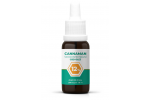 12% CBD olej (1200mg) Širokospektrální | 10ml