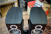 WHARFEDALE DIAMOND 10.1