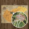 Stírací mapa Maďarska DELUXE XL zlatá