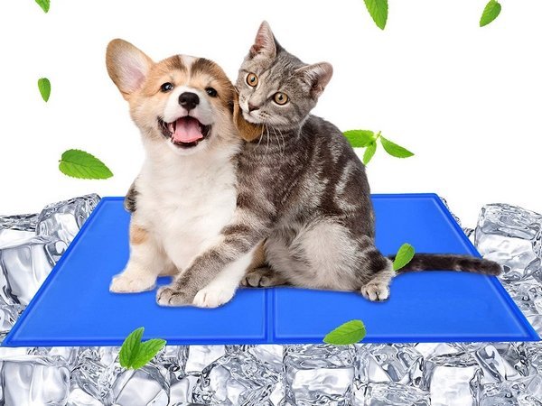 Chladiaca gélová podložka pre psy a mačky 50 x 65 cm