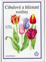 Cibulové a hlíznaté rostliny