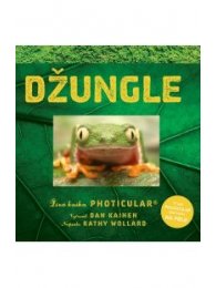 Džungle