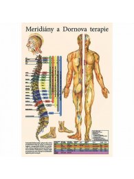 Mapa - Meridiány a dornova terapie