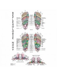 Mapa - Reflexologie nohy
