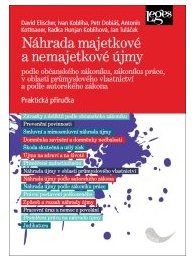 Náhrada majetkové a nemajetkové újmy podle občanského zákoníku, zákoníku práce, v oblasti průmyslového vlastnictví a podle autorského zákona - praktická příručka