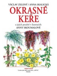 Okrasné keře a jejich použití