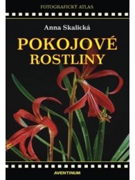 Pokojové rostliny