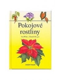 Pokojové rostliny