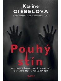 Pouhý stín