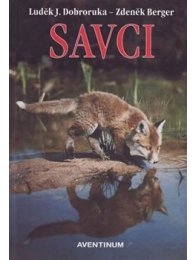 Savci