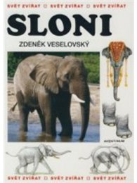 Sloni svět zvířat