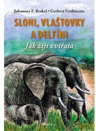 Sloni, vlaštovky a delfíni