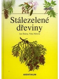Stálezelené dřeviny