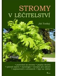 Stromy v léčitelství